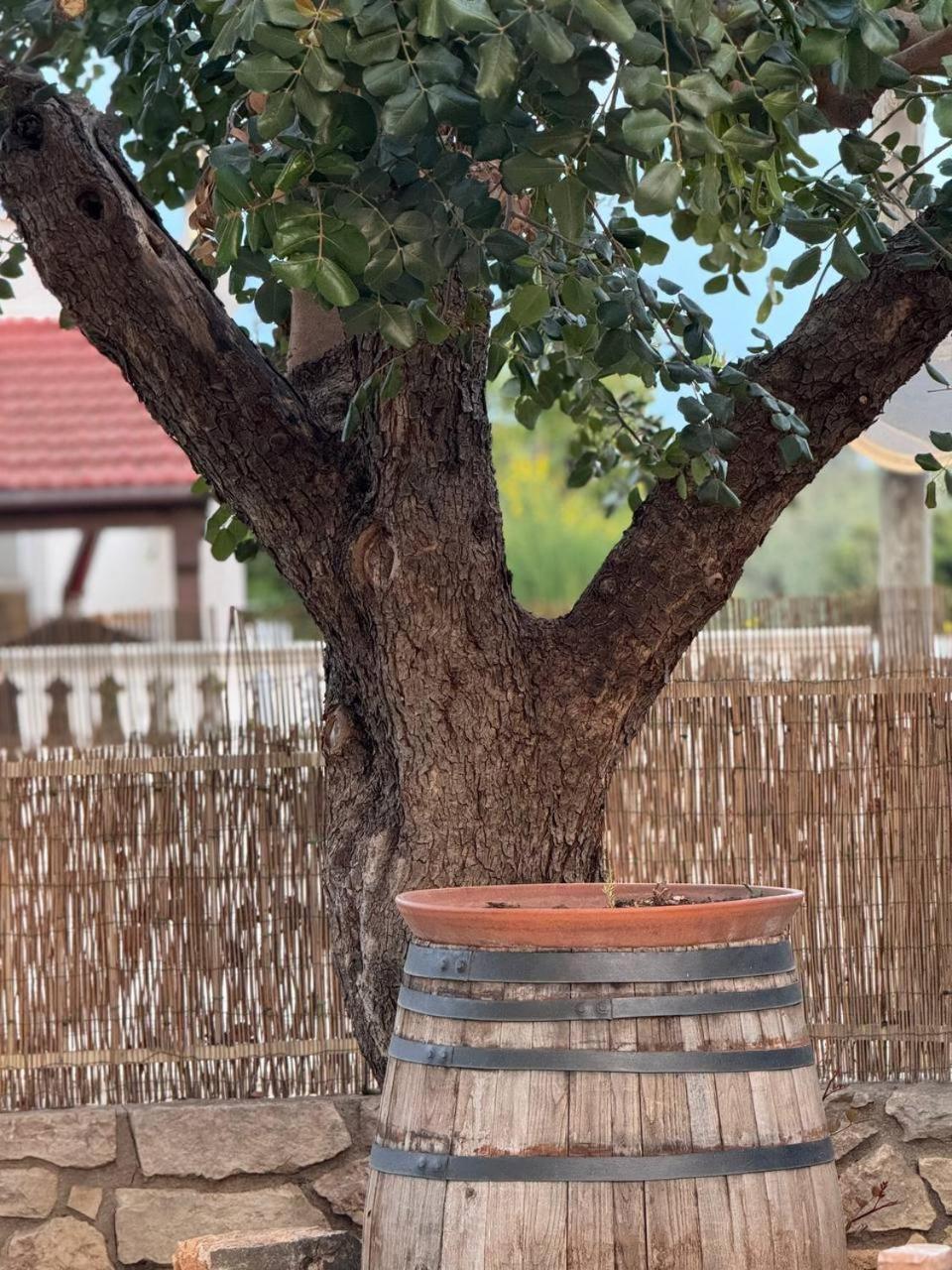 Ulivi Di Minerva - Boutique Holiday Home - Ostuni - Fasano - Cisternino Montalbano  Zewnętrze zdjęcie